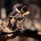 Test product